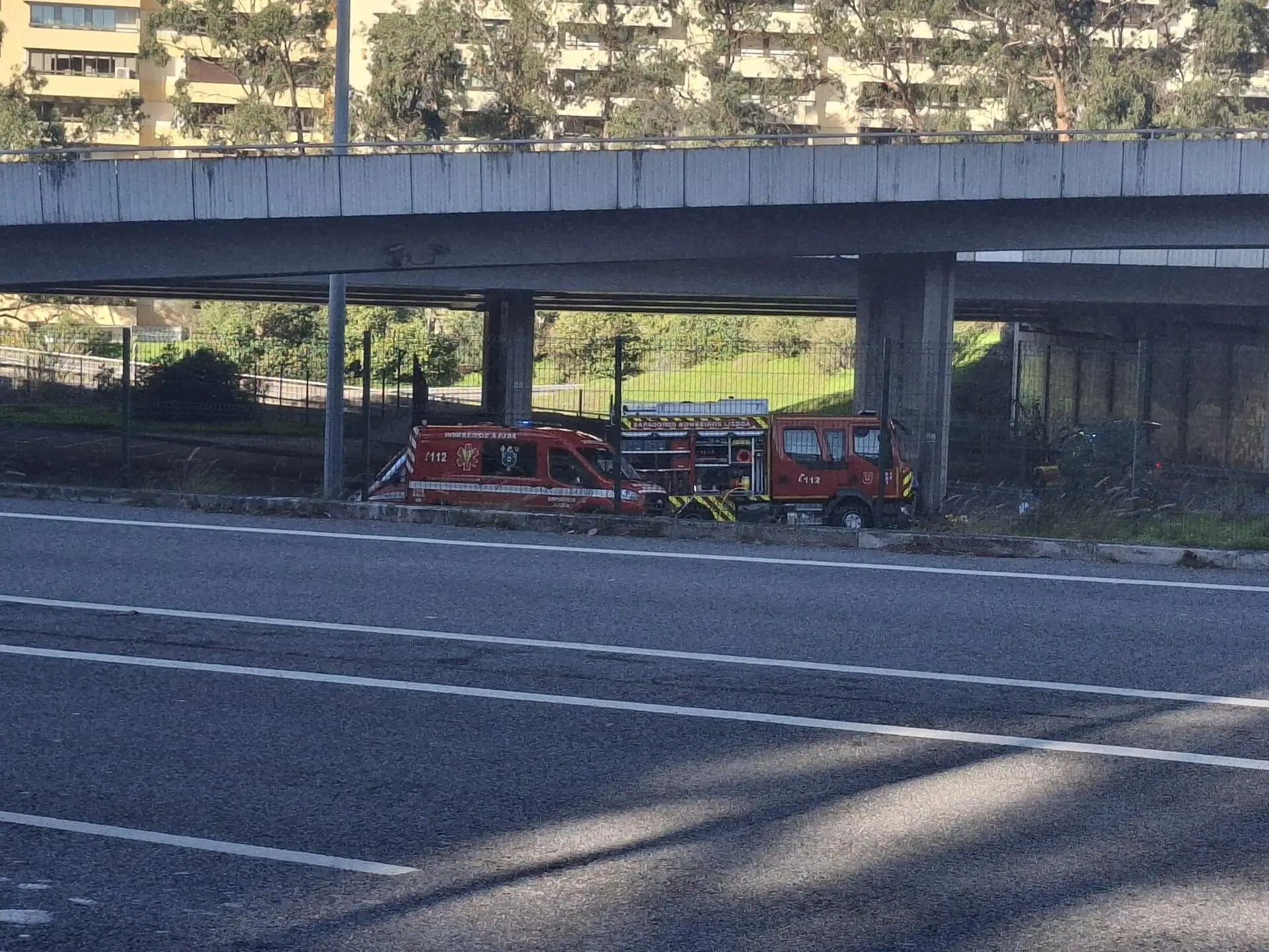 Seis amigos morrem carbonizados após despiste de carro em Lisboa - JN
