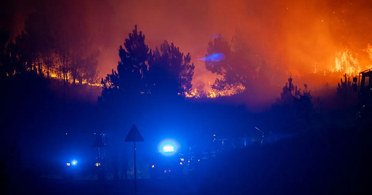 Terrifying Flames Force Evacuation of Elderly Home in São Martinho de Anta