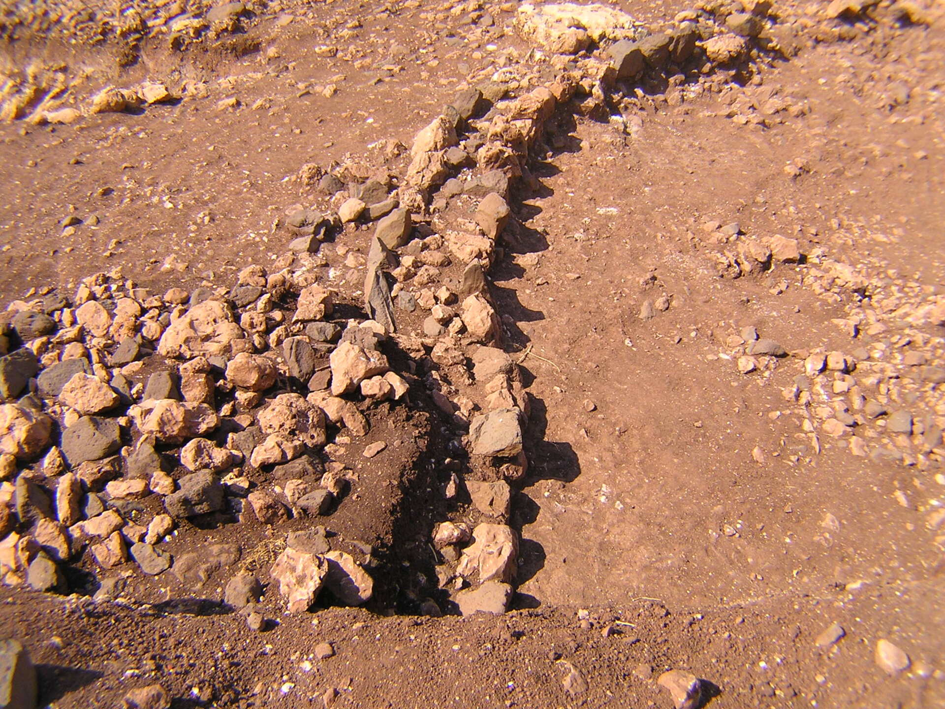 Preservation efforts at the site